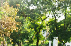 谈心室∣孩子自伤是在寻求帮助