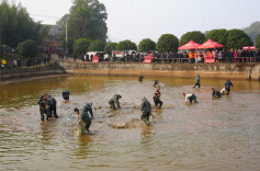 抓鱼、尝鲜！湘潭县这场捕鱼嘉年华好热闹