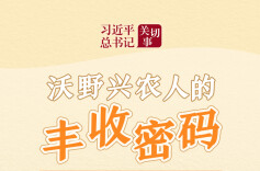 习近平总书记关切事·嘱托｜沃野兴农人的丰收密码