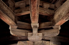 专家论证古建筑木材科学数据平台建设方案