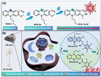 助力帕金森病的早期诊断 南华大学药学院研究团队研发新型荧光探针 