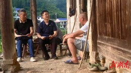 驻村帮扶结硕果 绘就振兴新画卷——安化县梅城镇云河村乡村振兴纪实