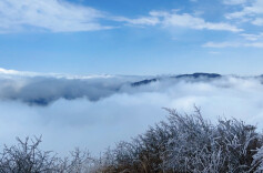 新宁金紫岭：雾凇云海美，农庄鲜味足