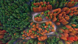 炎陵空气质量位居全省前列 再获“美丽中国·深呼吸小城”荣誉‌