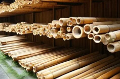 激活绿色碳库，木竹产业赋能双碳战略