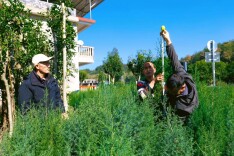 隆回:“三驾马车”跑出林改新天地
