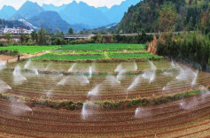 Vegetable Rotation Helps Increase Farmers' Income