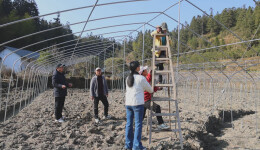 桂东寨前：菜香漫山坳 实干富民心