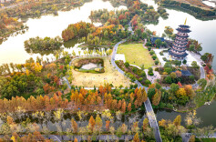 把城市“种”进公园里