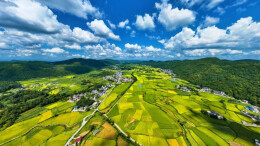 沃野流金，苗乡新颜——花垣县“十四五”农业发展纪实