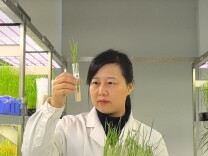 藏在一粒种子里的“莉”量——记“全省担当作为优秀干部”李莉