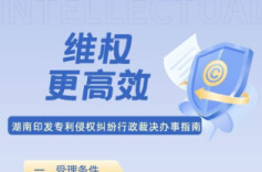 维权更高效！湖南印发专利侵权纠纷行政裁决办事指南