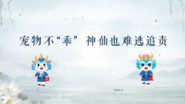 郴心说法｜宠物不“乖” ，神仙也难逃追责！