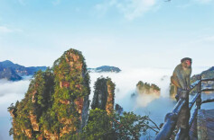 中国日报看湖南丨张家界：云端仙境“圈粉”海外游客
