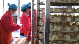 汨罗南环村：以产业“微引擎”撬动乡村振兴，家门口就业近300人