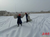 15年完成新疆棉花公检250余万吨  “纤监湘军”托起边疆棉农的致富梦