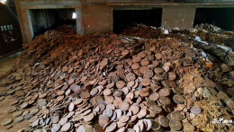 永兴油茶枯饼的“华丽转身”：从废料到宝贝的循环经济之路