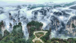 绘就生态画卷 筑牢发展根基——张家界市生态环境局“十四五”期间工作综述