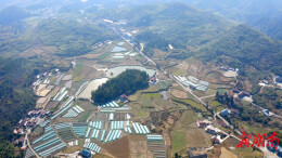 【大美鹤城】山水织锦入画来 大坪村绘就农旅融合新图景