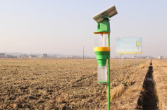 40盏“夜猫子卫士”上岗 湘潭县石潭镇千亩良田实现绿色防控