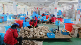 靖州：园区企业齐发力，抢抓新年“开门红”