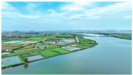 洞庭潮起处 君山生态兴