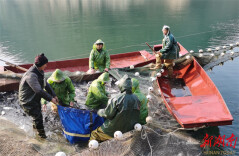 Winter Fishing Season Begins in Yuanling County
