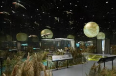 衡阳日报微信公众号丨福利！@属马、姓马、名字含“马”的，衡阳这个景区免费