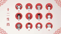 观点 | 生肖营销撬动文旅“流量”变“留量”