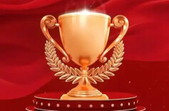 望城视界丨最新名单公示！望城5家企业拟获“冠军企业”称号