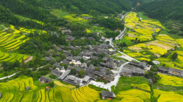 深耕沃野兴产业，赋能乡村促振兴—— 绥宁县“十四五”交出基层增收亮眼答卷