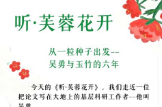 听·芙蓉花开 | 从一粒种子出发——吴勇与玉竹的六年