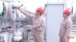 郴电国际临武分公司110kV桔园变电站试运行