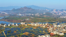 Aquaculture Thrives to Boost Rural Revitalization