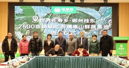 桂东：2600亩高山蔬菜直供基地成功签约 推动特色农业品牌化发展