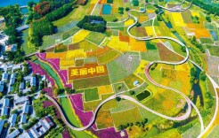 雷东亚 董振华：不断形成做好经济工作的统一意志和强大合力