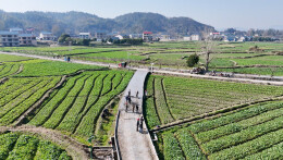 暖冬施工忙 提质迎宾客——会同稻香诗田景区加紧完善设施为旅游旺季做好准备