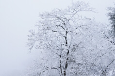 未来一周天气上演“三部曲”，升温、降雨、强降温