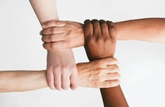 辛小湘丨打造全国信用高地，让“诚信”成为湖南最硬核的营商环境