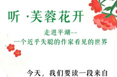 听·芙蓉花开｜走进平湖——一个近乎失聪的作家看见的世界