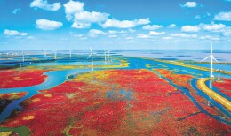 新发展理念之光照亮保护与发展新路——“十四五”林草提质兴业利民系列报道之一