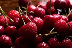 为什么车厘子长时间运输不会坏，买回家没几天就坏了？