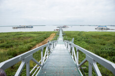 岳阳县鹿角码头便民桥：架起民生路 连通发展途