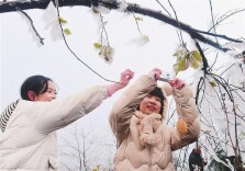 视觉丨嘉禾：雾凇冰凌