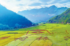 “理响湖南”第二期：“十五五”开局之年的“三农”工作