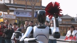 机器人闪亮登场 怀化榆树湾又放大招