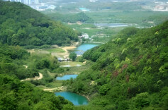 象鼻窝省级森林公园目前处于全封闭施工阶段  “野爬”有风险，请勿违规入园