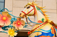 暴涨近10倍！西红柿价格为何走高？