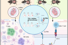 三阴性乳腺癌免疫治疗效果有望提升！湘雅二医院发表重要研究成果