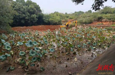 32处基本完工！岳塘区这项水利工程加速推进